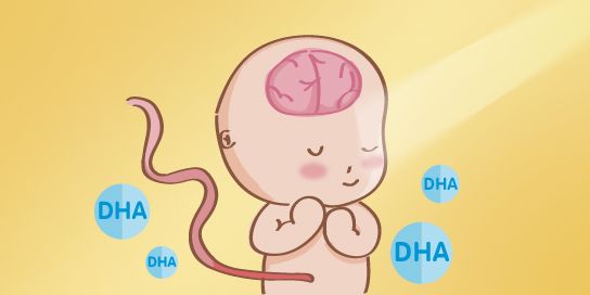 孕妇吃什么最补胎儿脑_胎儿全前脑_左枕前位胎儿图 位图