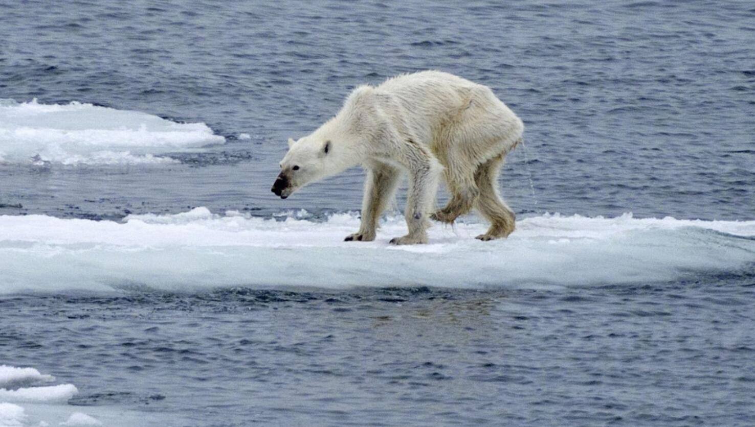 化冰难、冰封之心何时暖_全球暖化南极变冷吗_全球暖化